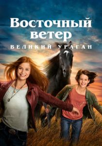 фильм Восточный ветер. Великий ураган (2022) онлайн