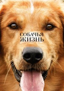 смотреть Собачья жизнь (2017)