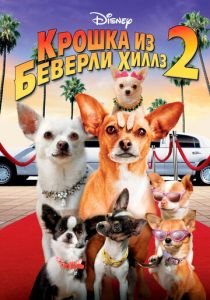 фильм Крошка из Беверли-Хиллз 2 (2010) онлайн