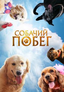 фильм Собачий побег (2024) онлайн